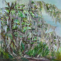 Moss Draped Live Oaks